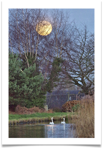 1 - Bridgewater Canal 1 - Chris Beesley